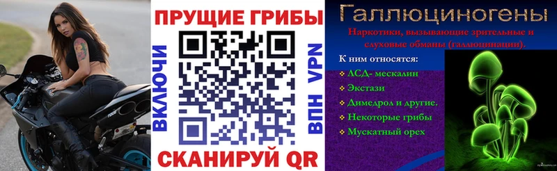 Псилоцибиновые грибы Psilocybe Красноармейск